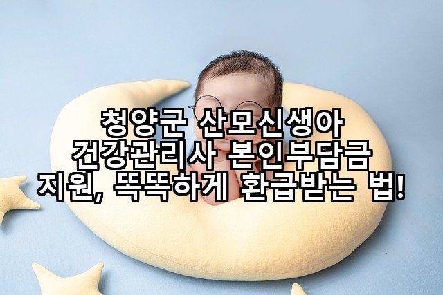 청양군 산모신생아 건강관리사 본인부담금 지원, 똑똑하게 환급받는 법!