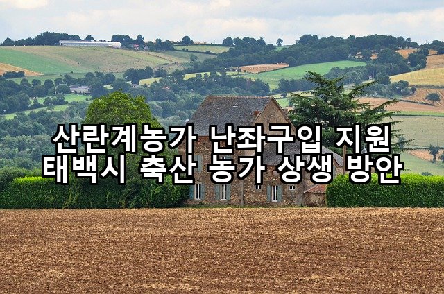 산란계농가 난좌구입 지원 태백시 축산 농가 상생 방안