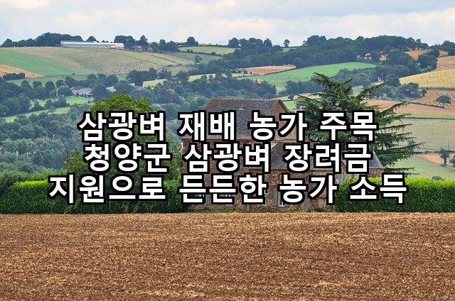 삼광벼 재배 농가 주목 청양군 삼광벼 장려금 지원으로 든든한 농가 소득