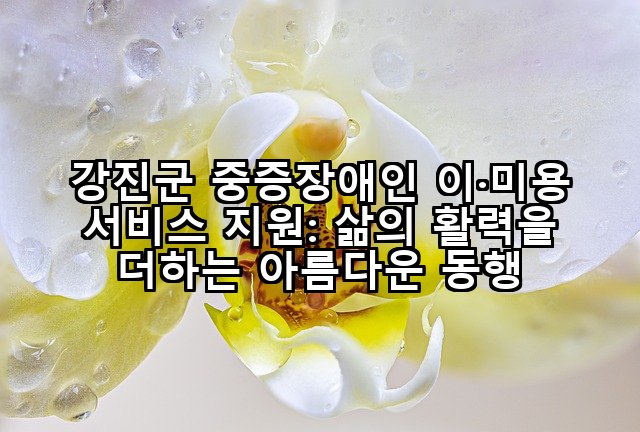 강진군 중증장애인 이·미용 서비스 지원: 삶의 활력을 더하는 아름다운 동행